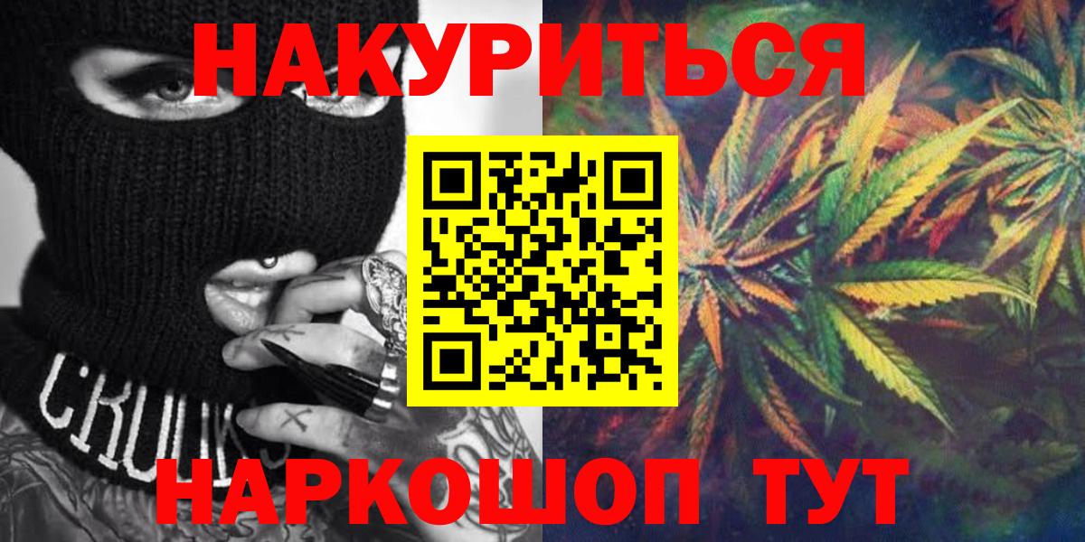 Канабис сатива Сочи